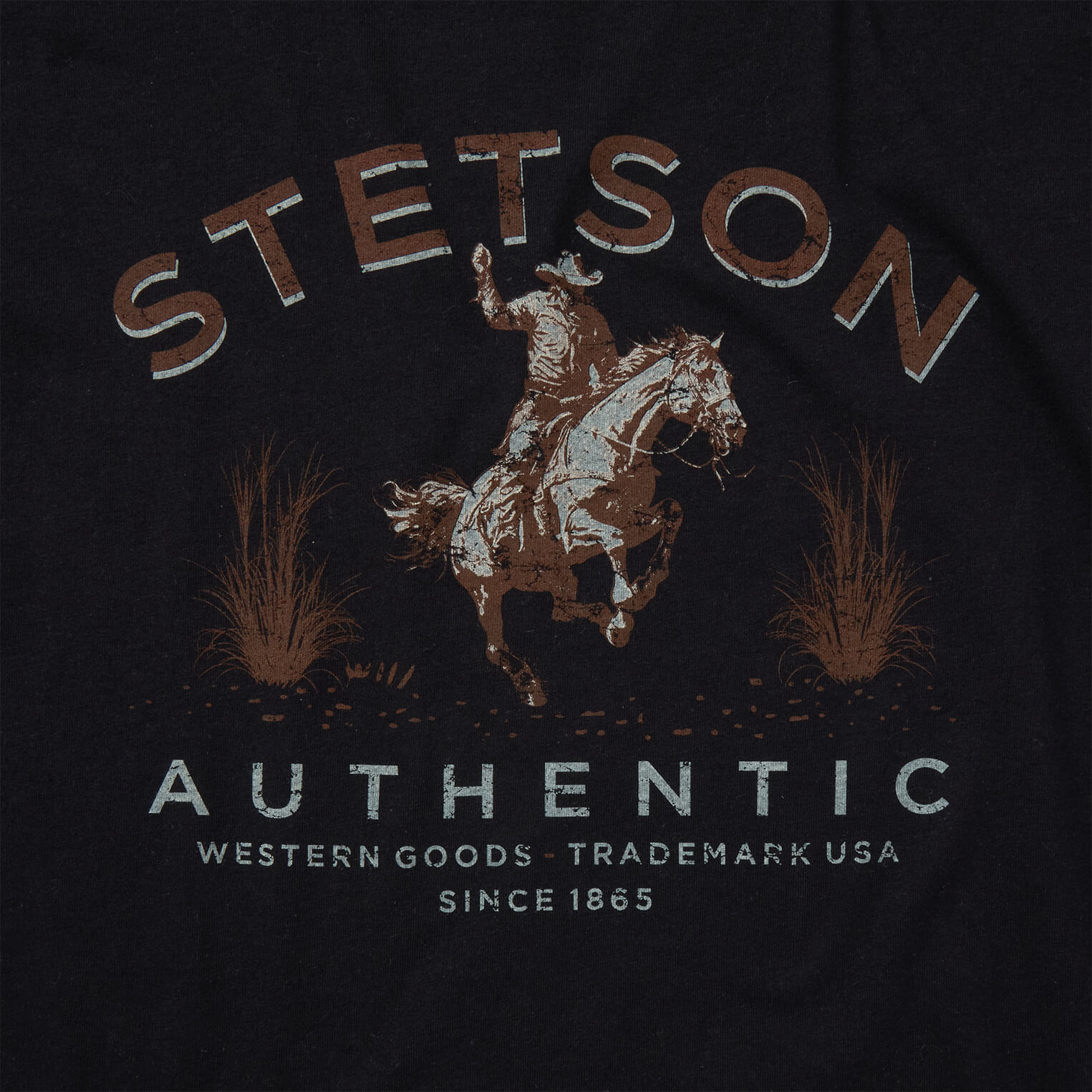 Stetson Graphic Tee – Classic Cotton Shirt