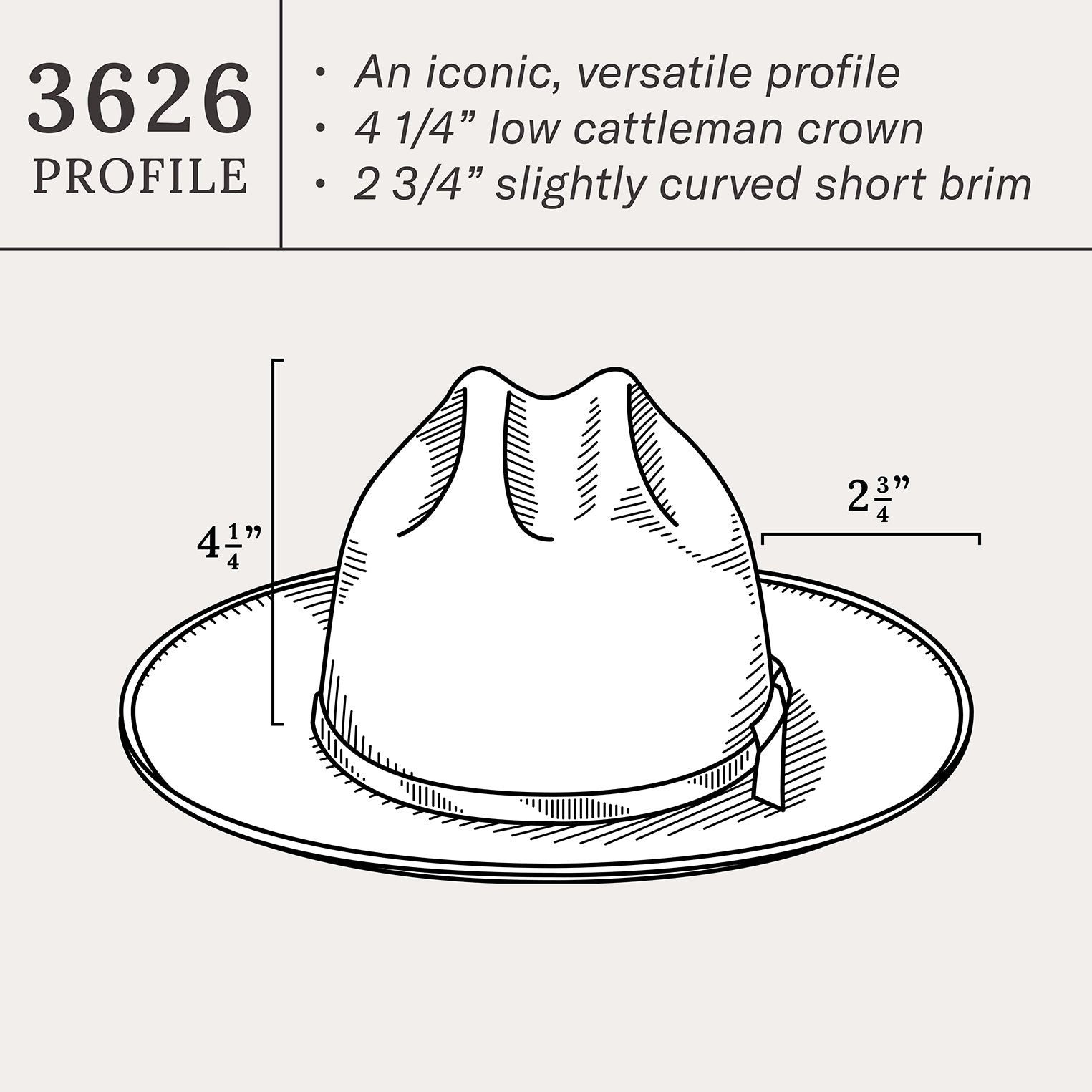 Vintage 1865 Royal Deluxe Distressed Hat