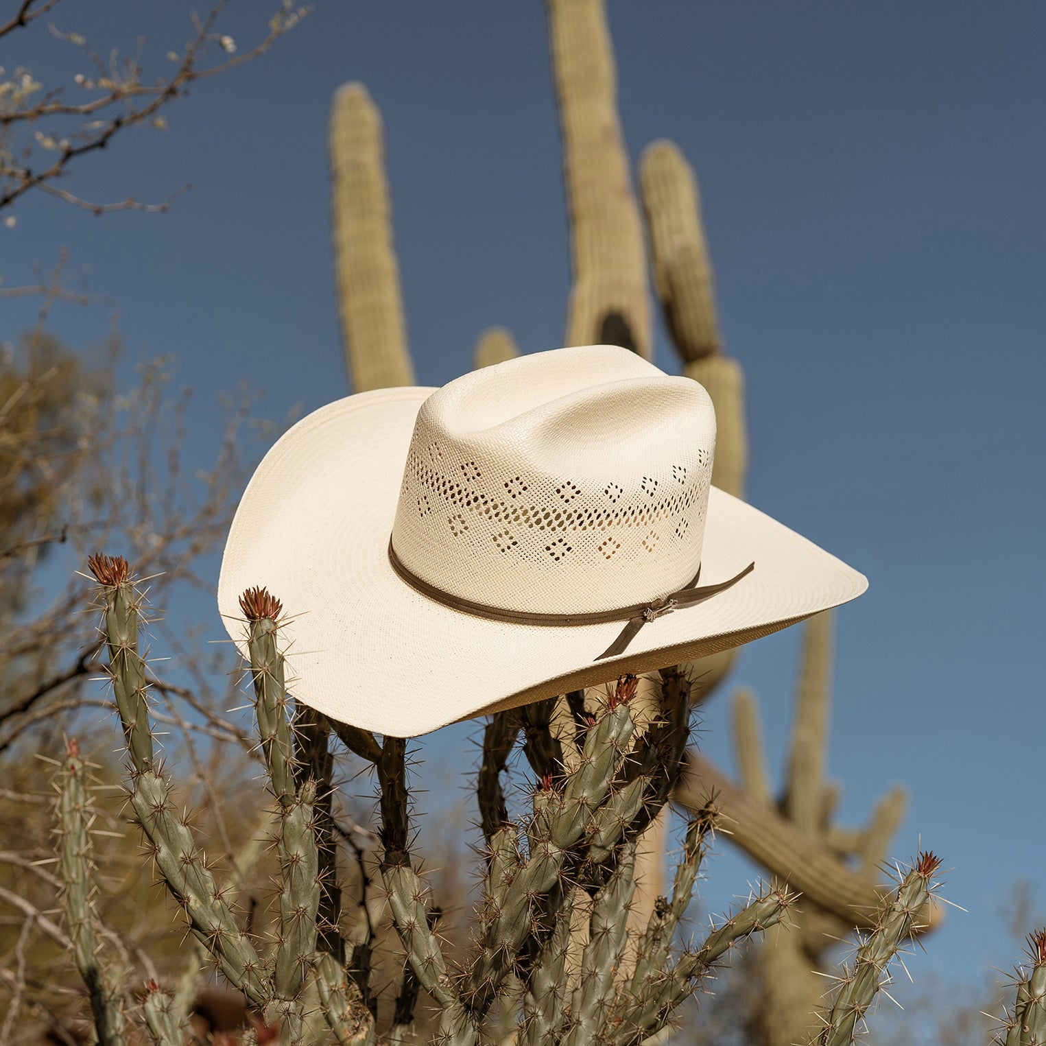 20X Straw Cowboy Hat by Baker