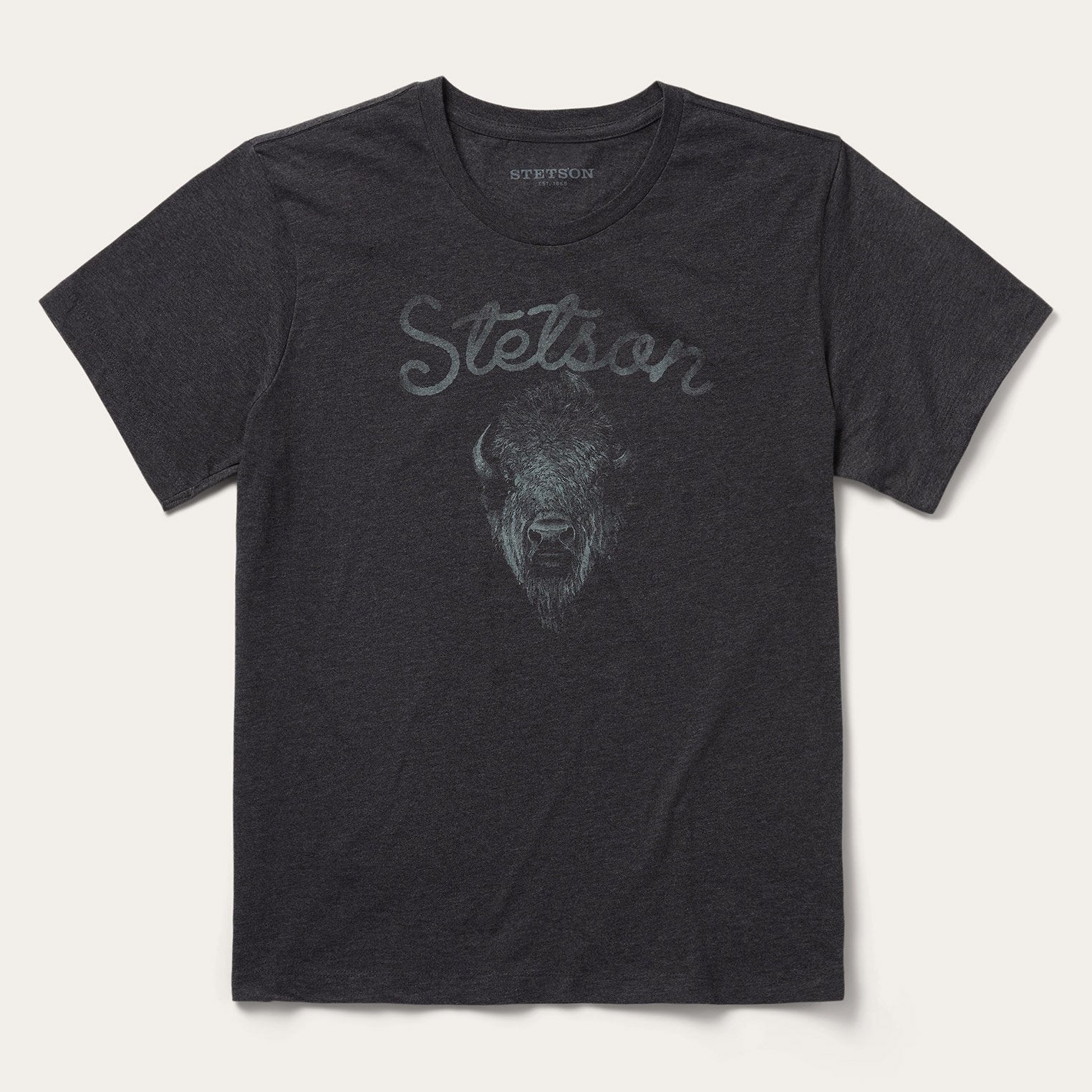 Bison Spirit Graphic T-Shirt for Men