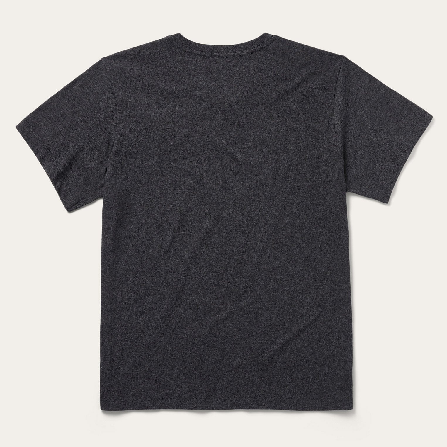 Bison Spirit Graphic T-Shirt for Men