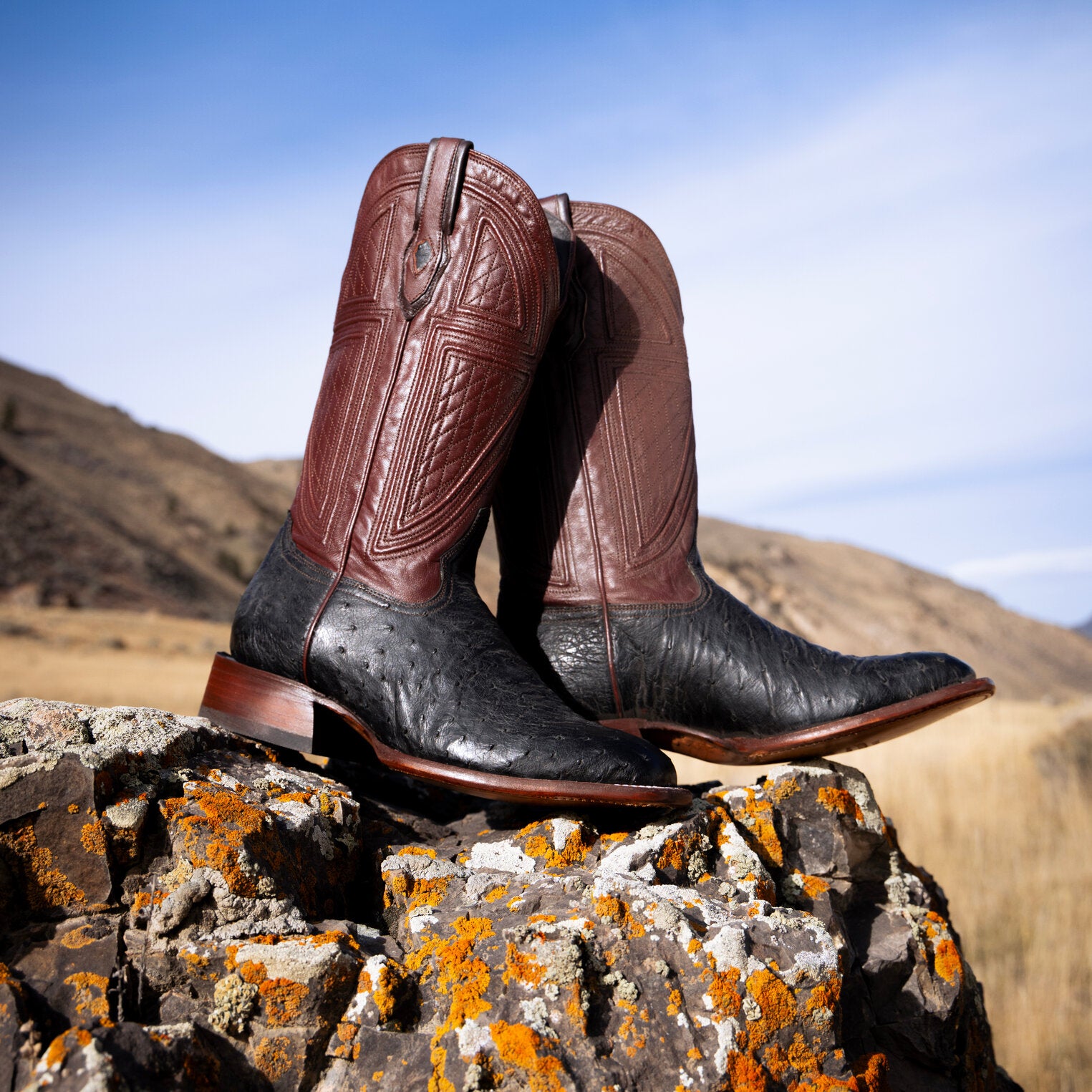 Men's Dillon Ostrich Leather Boots