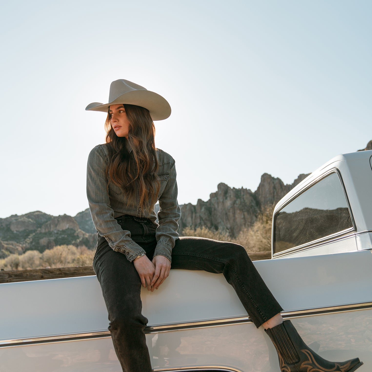 Premier 10X Shasta Cowboy Hat for Western Style
